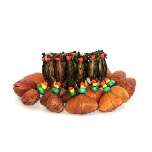 Ankle And Wrist Shakers