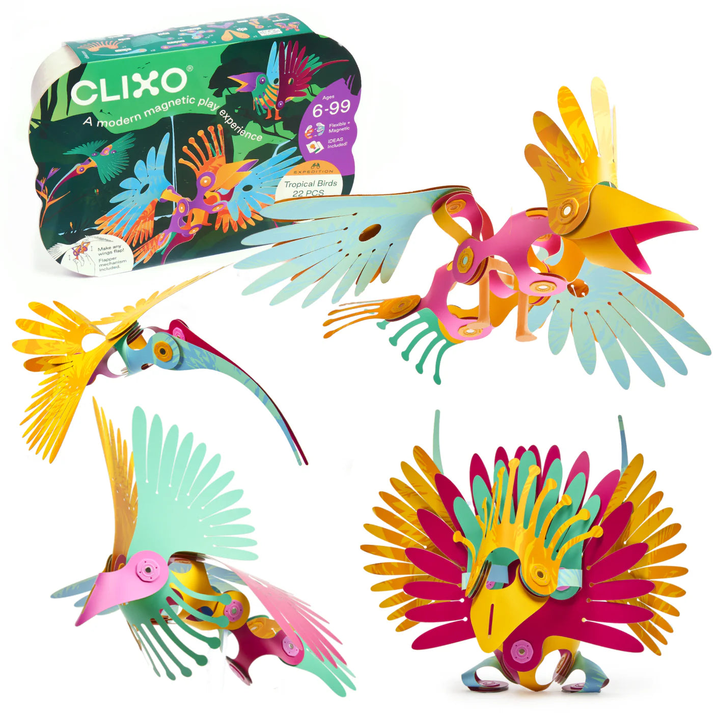 Clixo Tropical Birds Pack Creations