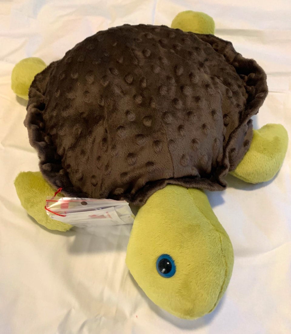 Weighted Turtle 2KG