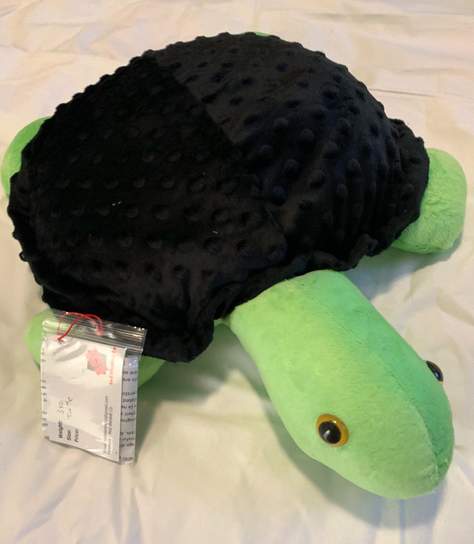 Weighted Turtle 3kg