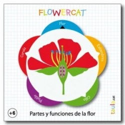Taula Flowerwheel