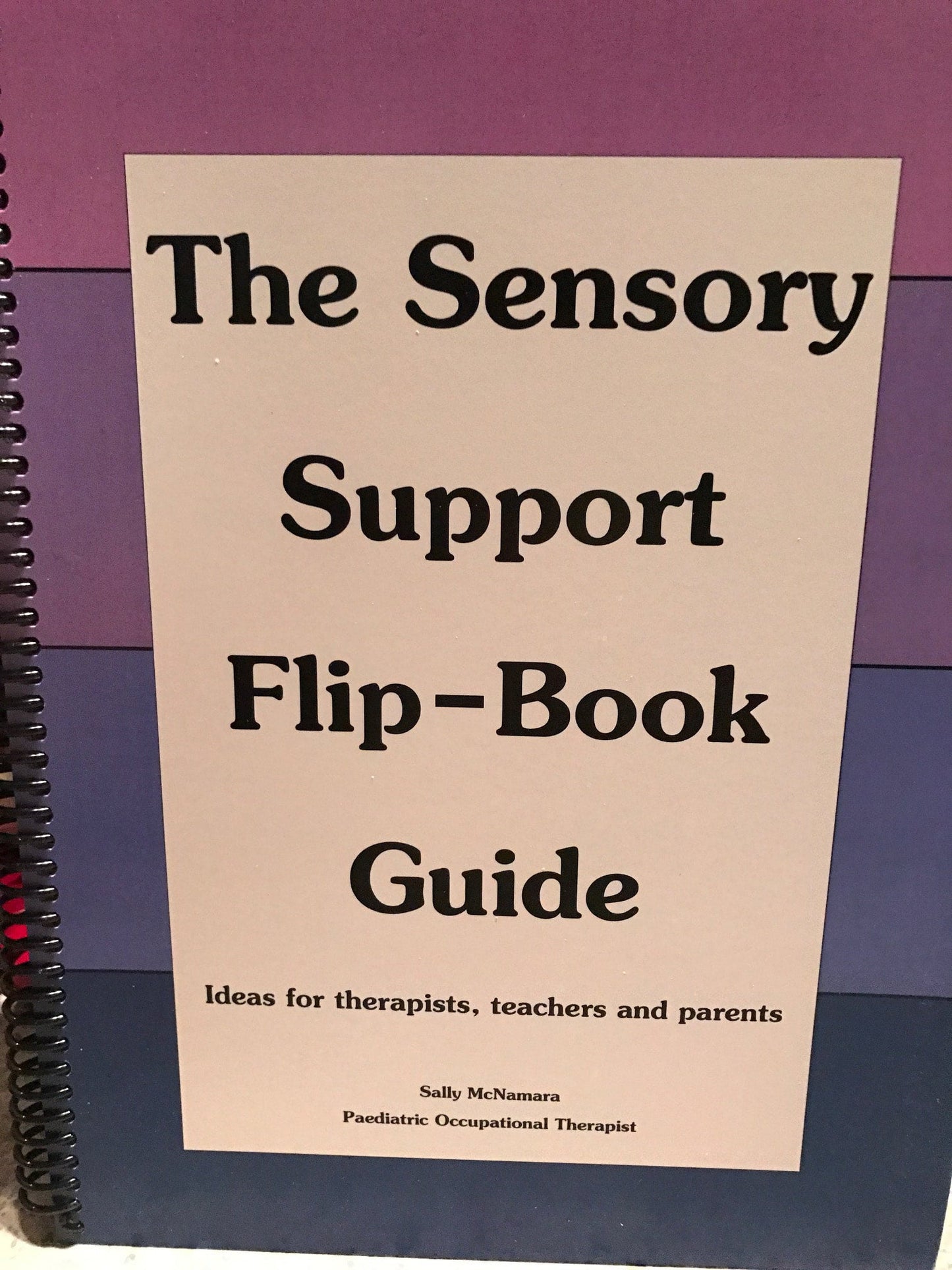 Sensory Support Flip Book Guide - Sally McNamara
